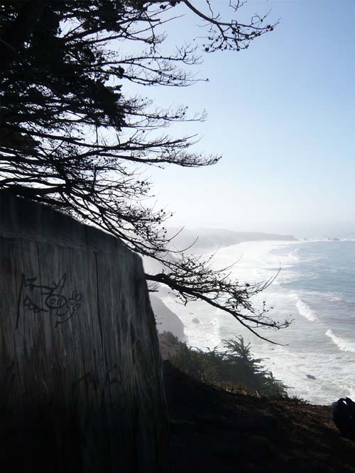 pacific coast