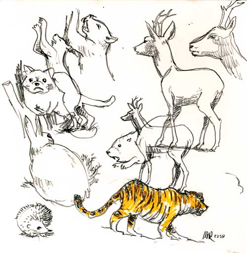 9522_zoolog-museum_01