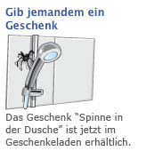 spinne in der dusche